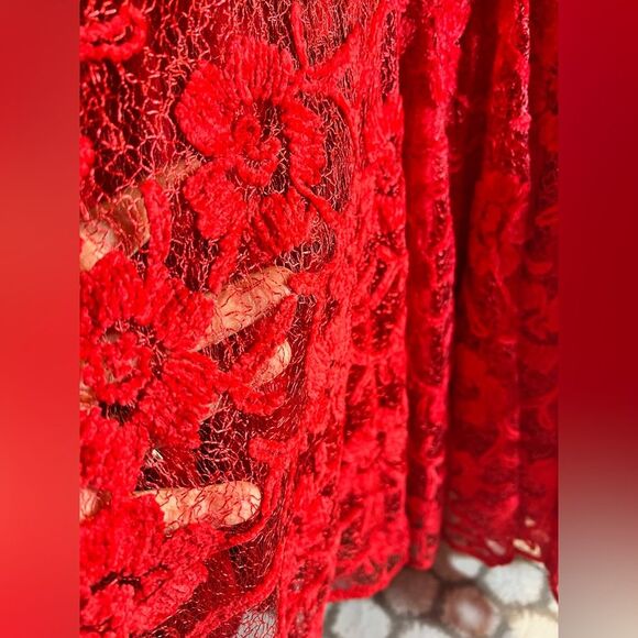 Free People Dress NWT-retails $198, Elegant Mini Red Lace, Flowy, oversized - Picture 6 of 14